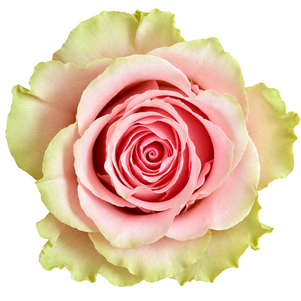 Frutteto